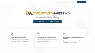 Consultant marketing indépendant