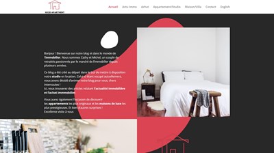 www.appartement-nice.fr