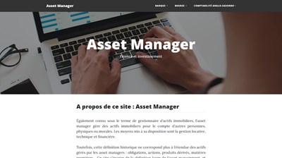 asset manager