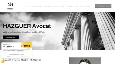 Avocat en droit pénal à Paris (1), Maître Hazguer