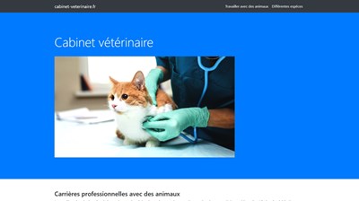 cabinet veterinaire