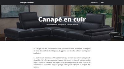 canapé cuir