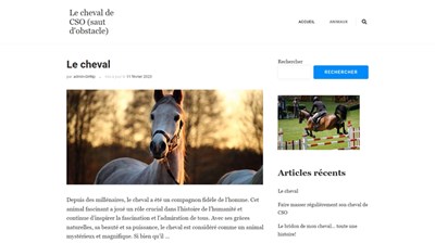 Débourrage du jeune cheval à Montmeyan