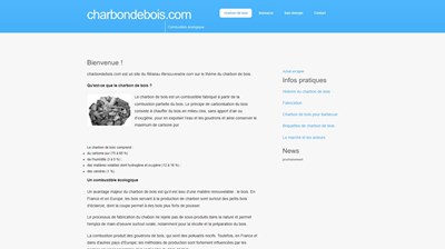 tout sur le charbon de bois