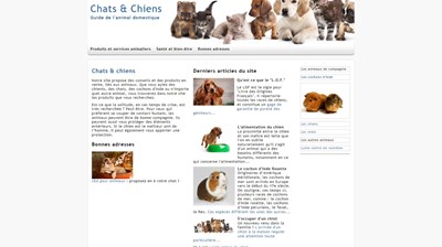 chats et chiens