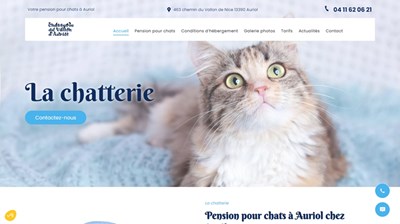 Service d’hébergement chat à Auriol