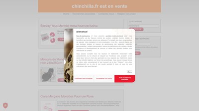 tout sur le chinchilla