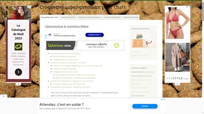 Alimentation sèche pour chat comment choisir ?