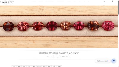 www.diamprest.com