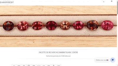  www.diamprest.com 