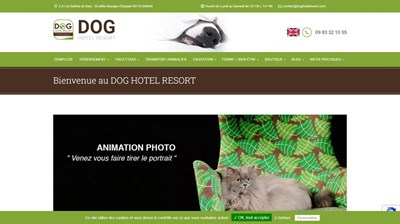 www.doghotelresort.com