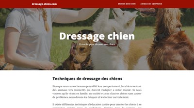 dresser son chien