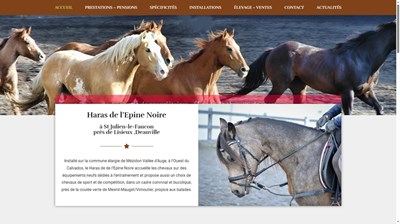 Élevage de chevaux de course à Mézidon Vallée d'Auge
