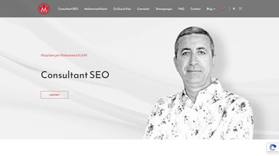 Expert SEO