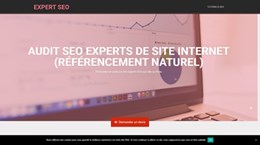 Conseils SEO