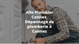 Un artisan plombier expérimenté