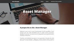 asset manager