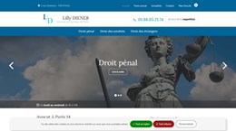 Appelez un avocat en droit des sociétés à Paris 1