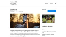 Débourrage du jeune cheval à Montmeyan