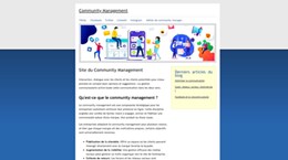 community manager