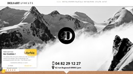 Avocat en droit des affairs à Lyon : Delsart Avocats