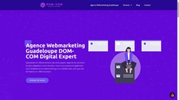 Dom-com digital expert