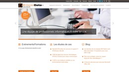 Professionnels IT, informatique et expertises