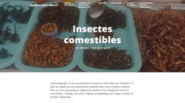 insectes comestibles