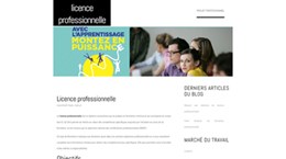 licence professionnelle