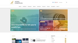http://www.moinsdimpots.fr/