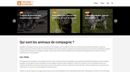 les animaux de compagnie