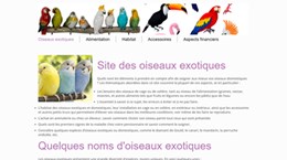 les oiseaux exotiques