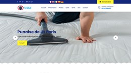 Punaises de lit