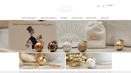 www.saily.fr
