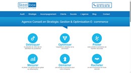 Agence Conseil en Stratégie, Gestion & Optimisation E- commerce